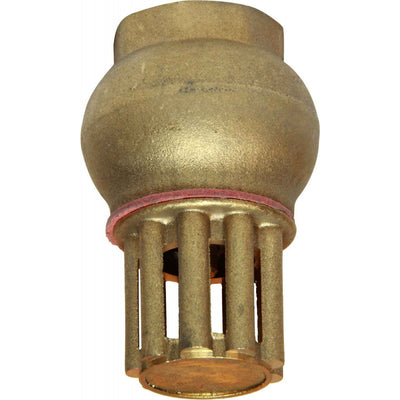 Maestrini Brass Foot Valve (Female / 1/2