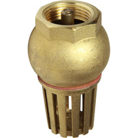 Maestrini Brass Foot Valve (Female / 3/4" BSP)  406804