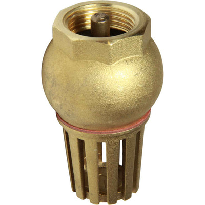 Maestrini Brass Foot Valve (Female / 3/4