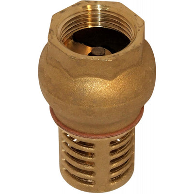 Maestrini Brass Foot Valve (Female / 1