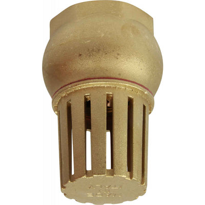 Maestrini Brass Foot Valve (Female / 2