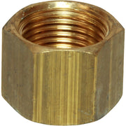 Maestrini Brass Blanking Cap (3/8" BSP Female)  407702