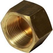 Maestrini Brass Blanking Cap (3/4" BSP Female)  407704