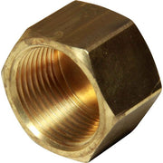 Maestrini Brass Blanking Cap (1" BSP Female)