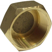 Maestrini Brass Blanking Cap (2" BSP Female)  407708
