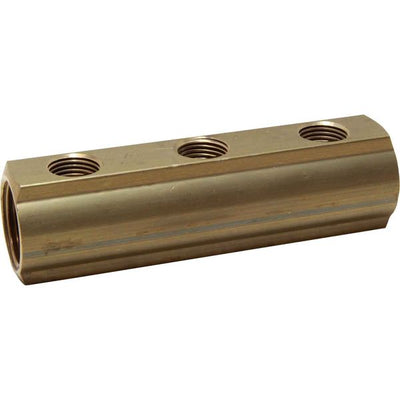 Maestrini Brass Female Pipe Manifold (1