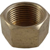 Maestrini Bronze Blanking Cap (1" BSP Female)