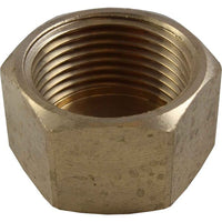 Maestrini Bronze Blanking Cap (1" BSP Female)