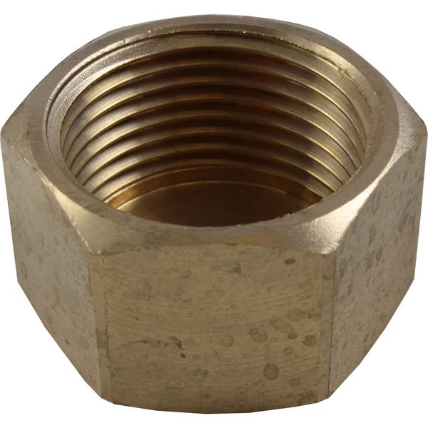 Maestrini Bronze Blanking Cap (1" BSP Female)
