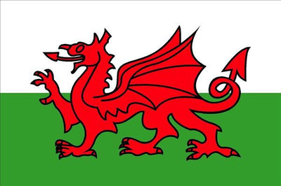 Welsh Dragon Flag 30 x 45cm