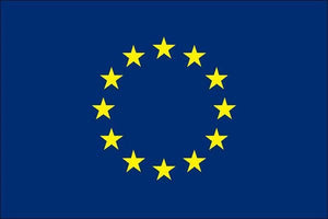 European Union Flag 30 x 45cm