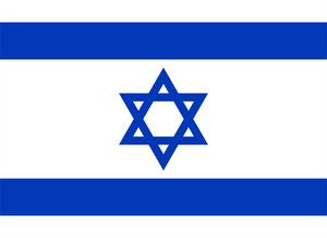 Israel Courtesy Flag 30 x 45cm