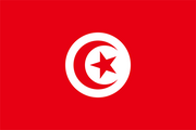Tunisia Courtesy Flag 30 x 45cm