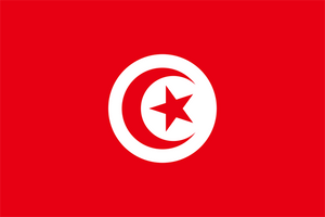 Tunisia Courtesy Flag 30 x 45cm