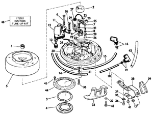 Evinrude Johnson OMC Engine Part Screw  0317502 317502 - ChasNewensMarine