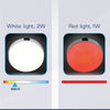 AquaLED Dome Light, red & white, w/3 position switch, 12V/24V DC Multivolt by Lalizas