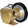 Jabsco 50200-2311 Bronze Clutch Pump (24V / 1-1/2" BSP / Single B)  505253