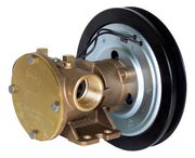 1" bronze pump, 80-size, foot mounted with BSP threaded ports 12 volt d.c. electric clutch with 1B pulley - Jabsco 50580-2201