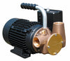 Utility 40' 1" Self-Priming Flexible Impeller Pump 110volt/1 phase/50Hz IP54 Electric Motor, Nitrile oil-resistant impeller. Heavy Duty - Jabsco 53041-2003-110