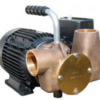 Utility 80' 1½" self-priming pump 230volt/1 phase/50Hz a.c. BSP threaded connections for on-board & dockside holding tank pump-out -  53081-2061-230