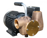 Utility 80' 1½" self-priming pump 230volt/1 phase/50Hz a.c. BSP threaded connections for on-board & dockside holding tank pump-out -  53081-2061-230