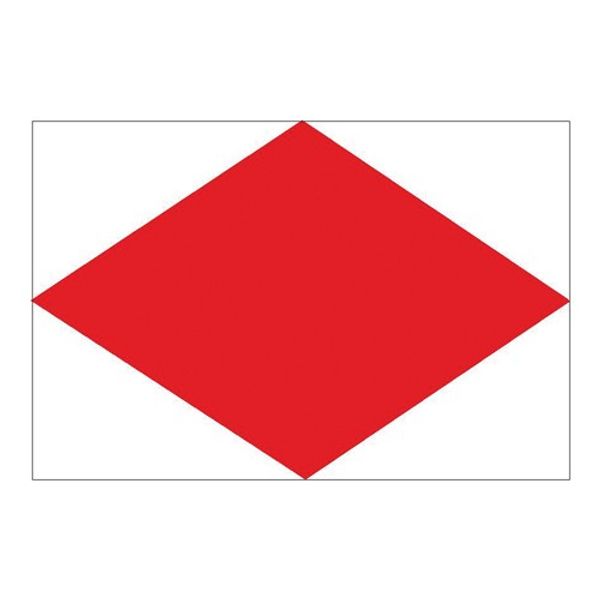 Flag International Code Signal F (30 x 45cm) - ChasNewensMarine