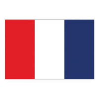 Flag International Code Signal T (30 x 45cm)