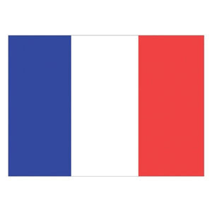 Flag France (30 x 45cm)
