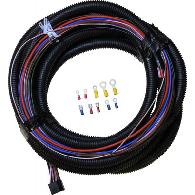 ASAP Electrical Instrument Panel 11 Wire Loom & Plug (7 Metres + 1)  708107 - ChasNewensMarine