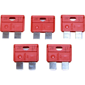 ASAP Electrical Blade Fuse (40 Amp / 5 Pack)  714140 - ChasNewensMarine