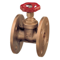 Bronze Gate Valve with PN06 Drilled Flange -  DN15