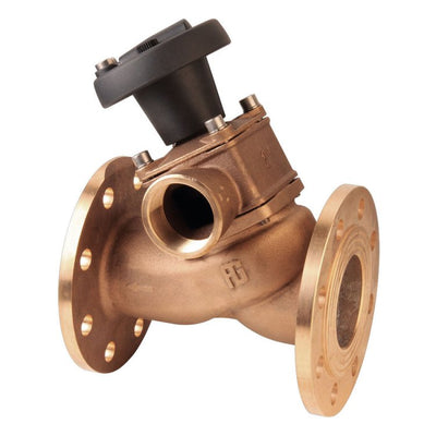 Bronze 2 Intake Non Stick Valve PN06 w/Indicator DN80 X 2