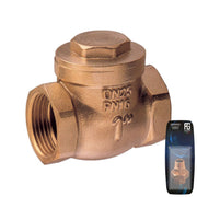 Bronze Swing Check Valve 1/2" - Retail Packed