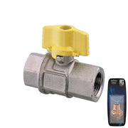 Nickel Plated Brass Ball Valve F-F "2000"  1" - Retail Packed