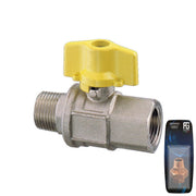 Nickel Plated Brass Ball Valve M-F "2000"  1/4" - Retail Packed