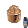 Bronze Plug M 1/8"  - Retail Pack