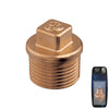 Bronze Plug M 1"  - Retail Pack