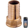 Brass Hose Connector F 1"1/2x50mm - Retail Pack