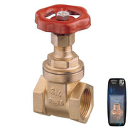 Brass Gate Valve 3/8" - Retail Packed