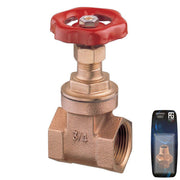 Bronze Gate Valve 1/4" - Retail Packed