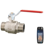 Nickel Plated Brass Lever Ball Valve M-M 3/8" - Retail Packed