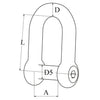 D-Shackle Hexagon Socket Head