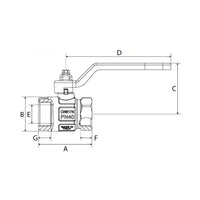 BlueGee Nickel Plated Brass Female/ Female Lever Ball Valve 1/4"