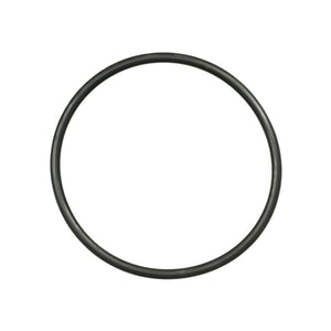 Neoprene O-Ring For Strainers 10755 X 353 mm