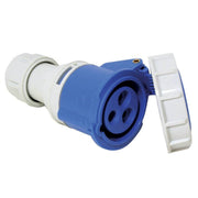 Plug, female, w/ safety cover, 16A, 220-240V, blue by Lalizas