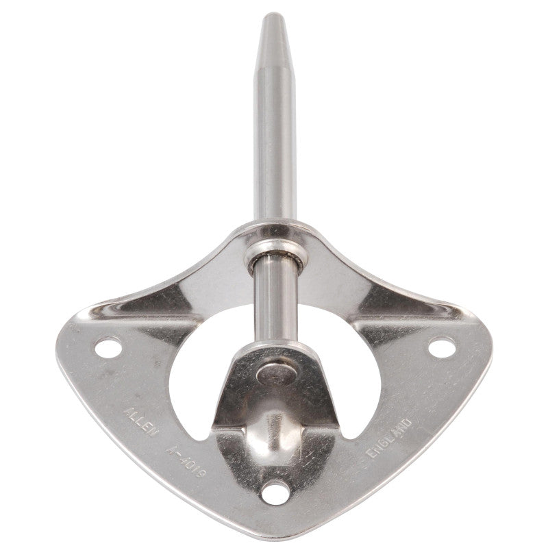 Allen Stainless Steel Triangle Transom Pintle | ChasNewensMarine