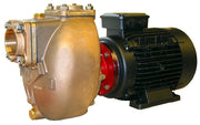 1½" Bronze Self-priming Centrifugal Motor Pump Unit Complete with 2.2kW 400v/3 phase/50Hz 22810rpm IP55 electric motor.  AM40D4EM2T50V400