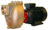 2" Bronze Self-priming Centrifugal Motor Pump Unit Complete with 5.5kW 400v/3 phase/50Hz 2900rpm IP55 electric motor. -  AM50D10EM2T50V400 - this Supesedes Part No AM50DEM2T50V400