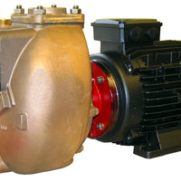 2" Bronze Self-priming Centrifugal Motor Pump Unit Complete with 5.5kW 400v/3 phase/50Hz 2900rpm IP55 electric motor. -  AM50D10EM2T50V400 - this Supesedes Part No AM50DEM2T50V400
