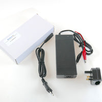 Lithium Battery Charger 12V, 10A, Alligator Clip
